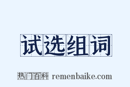 试选组词是什么意思的图片